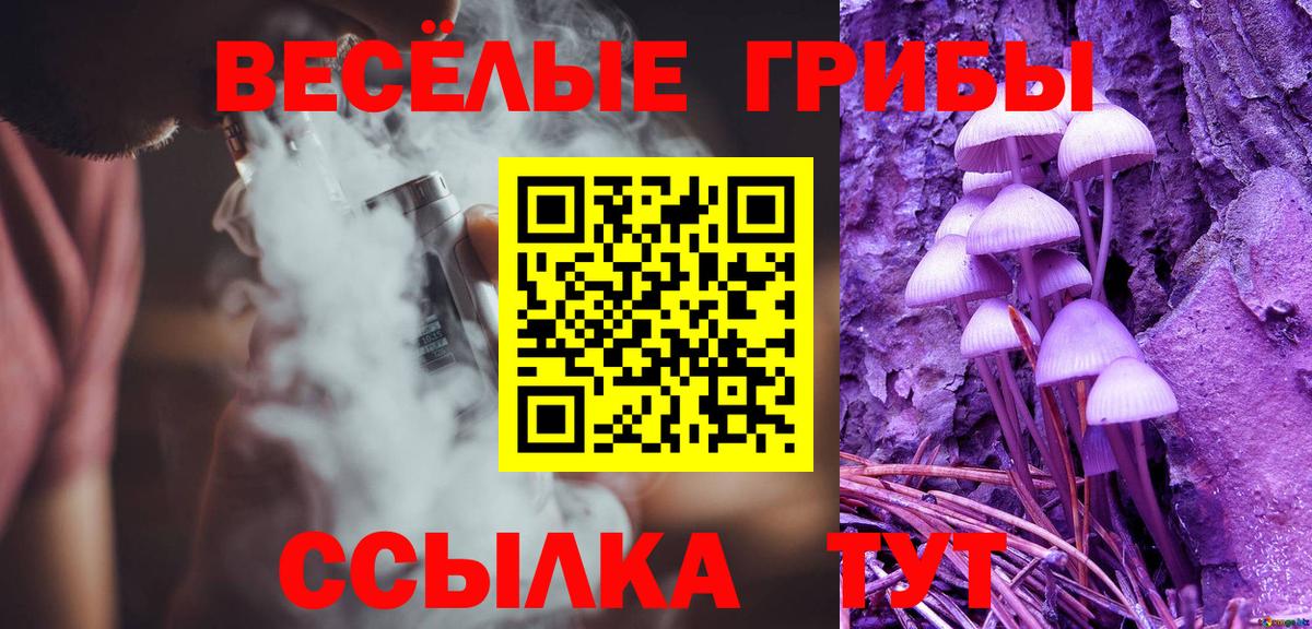 Псилоцибиновые грибы Cubensis Саров