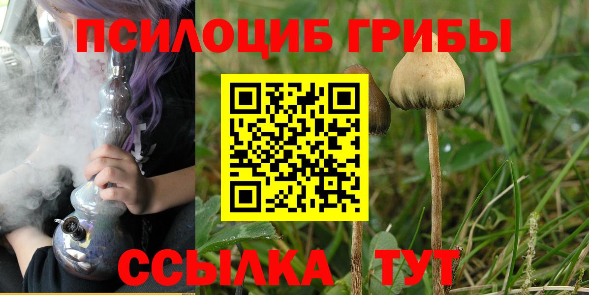 Саров  Галлюциногенные грибы MAGIC MUSHROOMS  Вход с VPN 